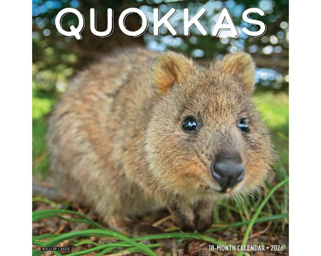 Quokkas 2026 Wall Calendar