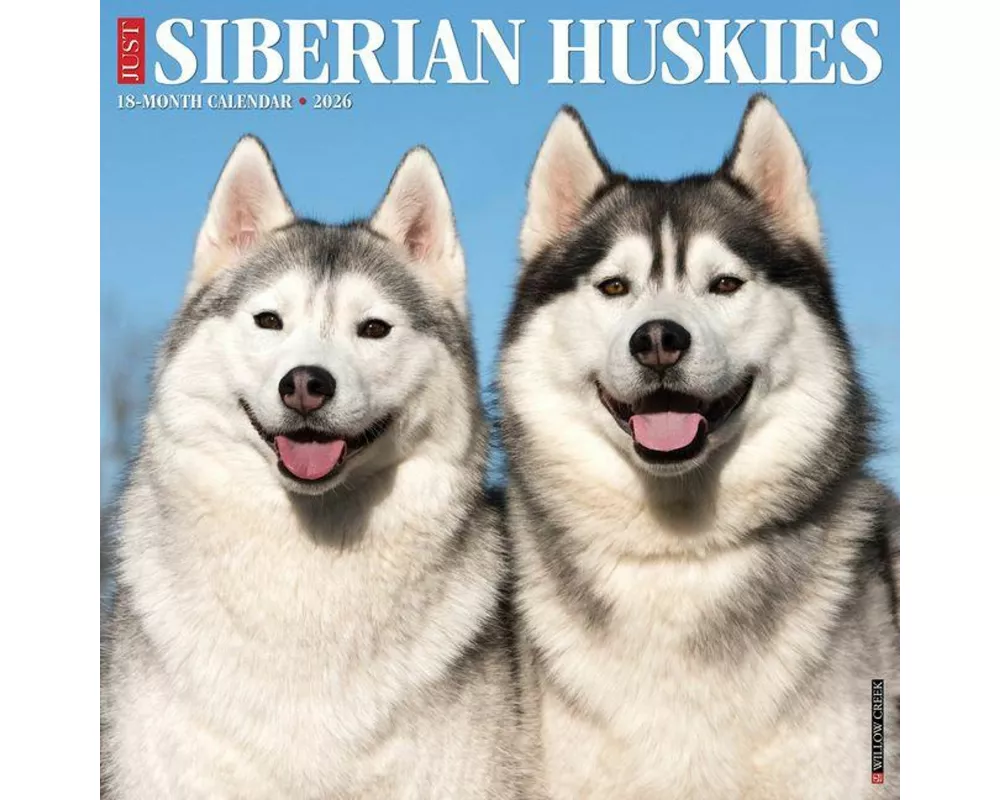 Siberian Huskies 2026 Wall Calendar