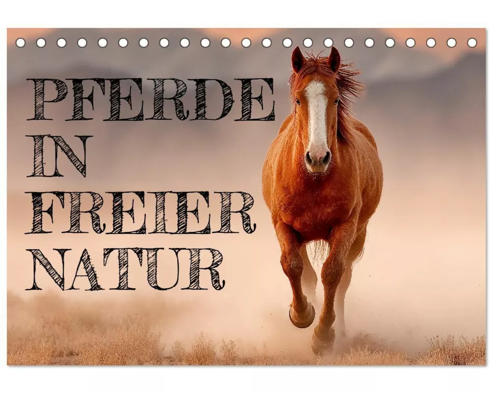 Pferde in freier Natur (Tischkalender 2026 DIN A5 quer), CALVENDO Monatskalender