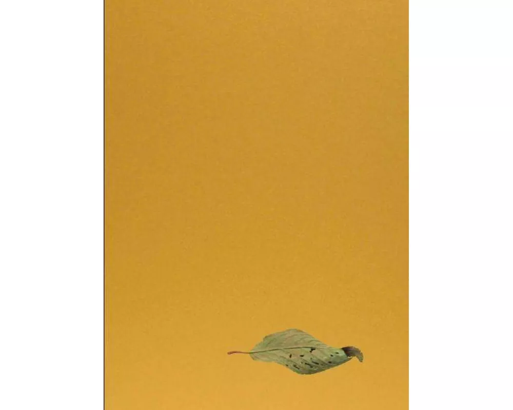 Yoshihiro Suda. Garden Eden