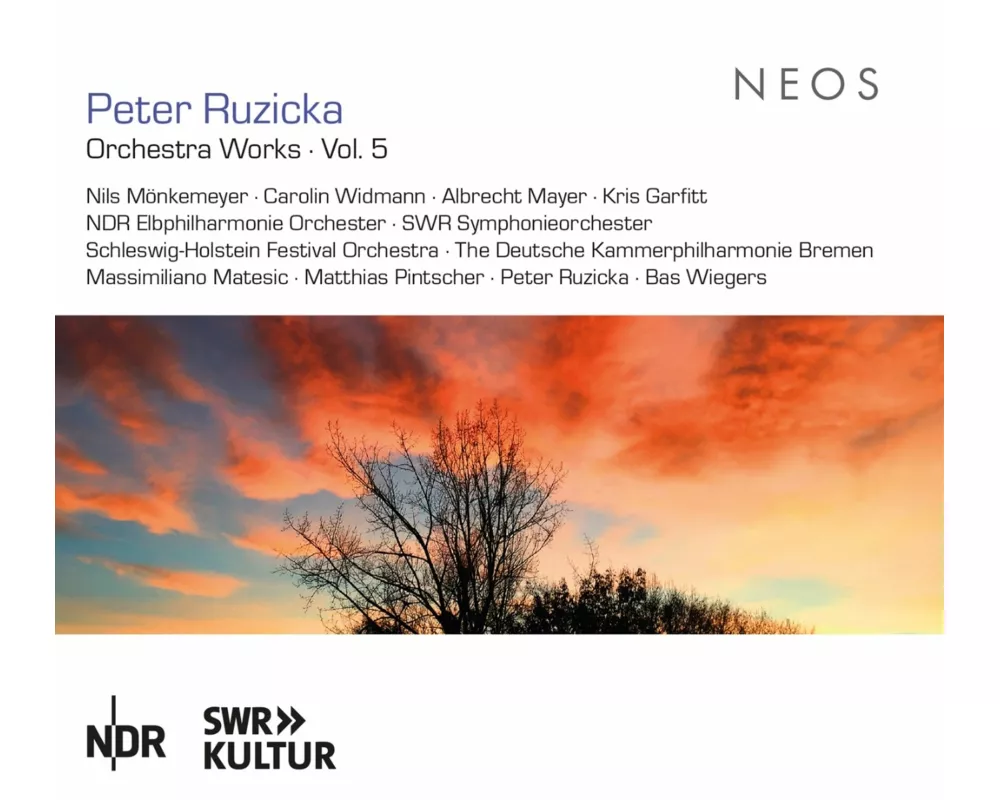 Peter Ruzicka: Orchestra Works Vol. 5