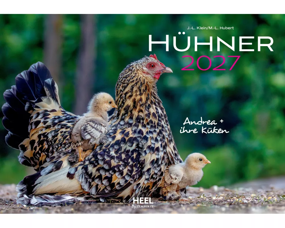 Hühner Kalender 2027