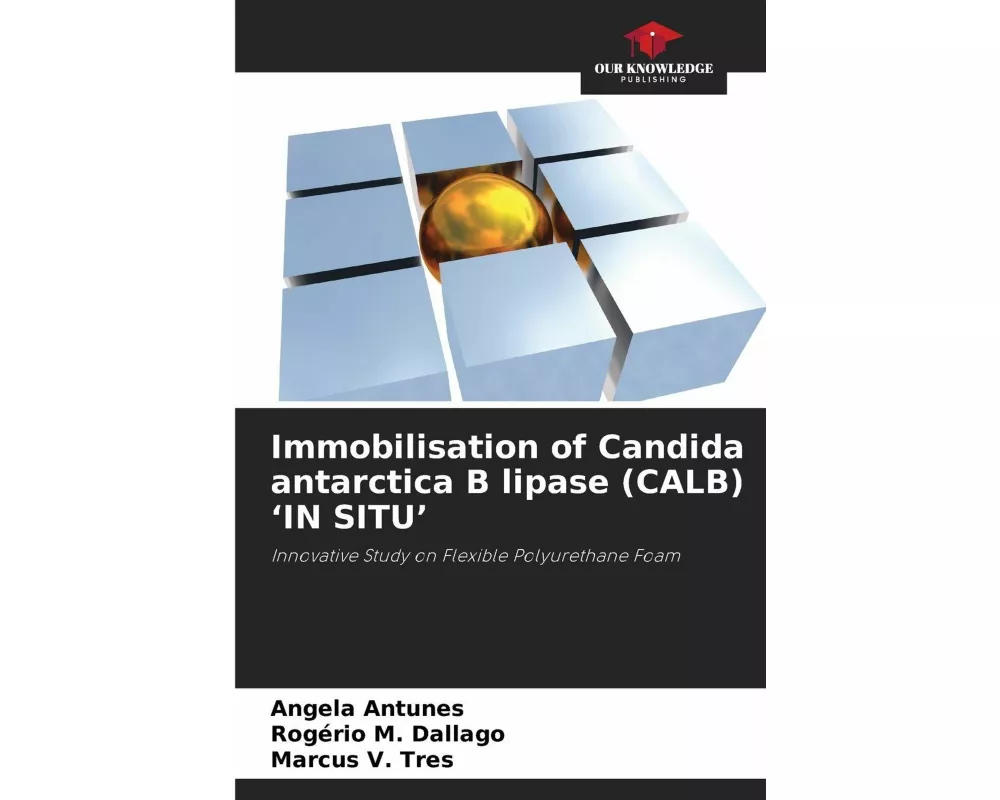 Immobilisation of Candida antarctica B lipase (CALB) 'IN SITU'