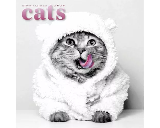 Cats Square Wall Sunday Start Calendar 2