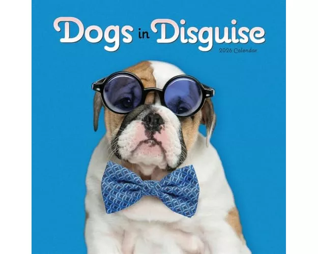 Dogs In Disguise Square Wall Calendar 20