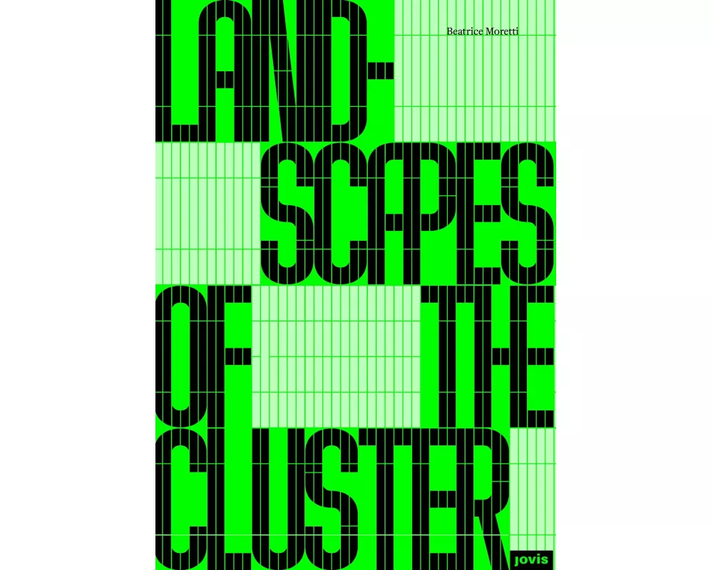 Landscapes of the Cluster