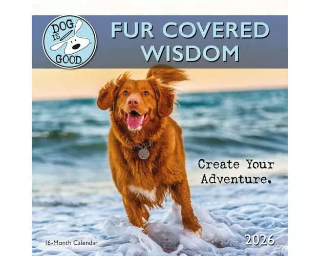 Dog Is Good Fur Covered Wisdom Square Wa