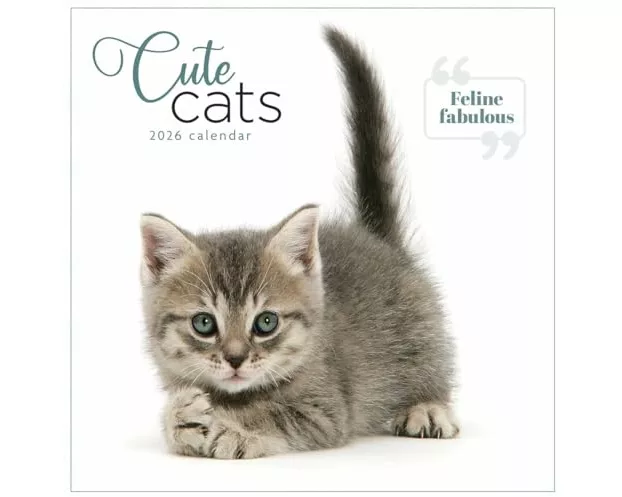 Cute Cats Square Wall Calendar 2026