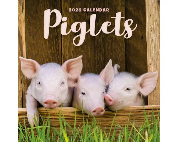 Piglets Square Mini Calendar 2026