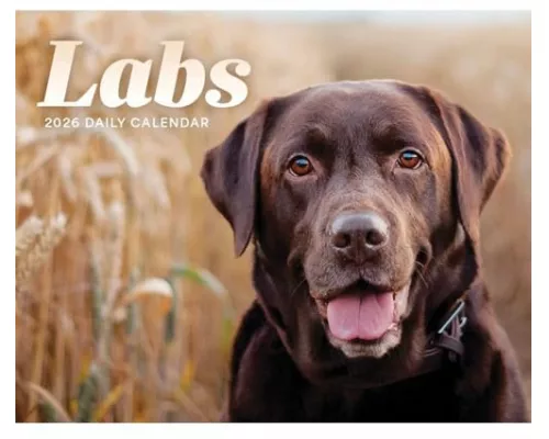 Labs Box Calendar 2026