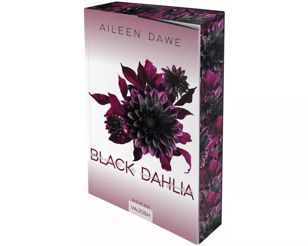 Black Dahlia
