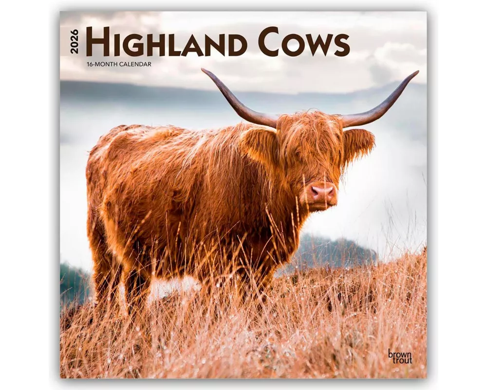 Highland Cows 2026 12 X 24 Inch (Hanging) Monthly Square Wall Calendar Plastic-Free