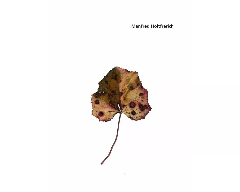 Manfred Holtfrerich. Blätter 237 - 342