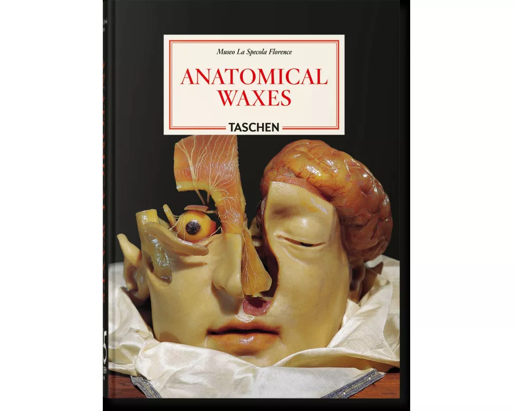 Anatomical Waxes. 45th Ed