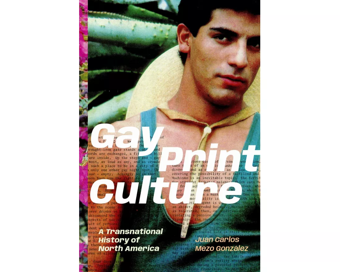 Gay Print Culture