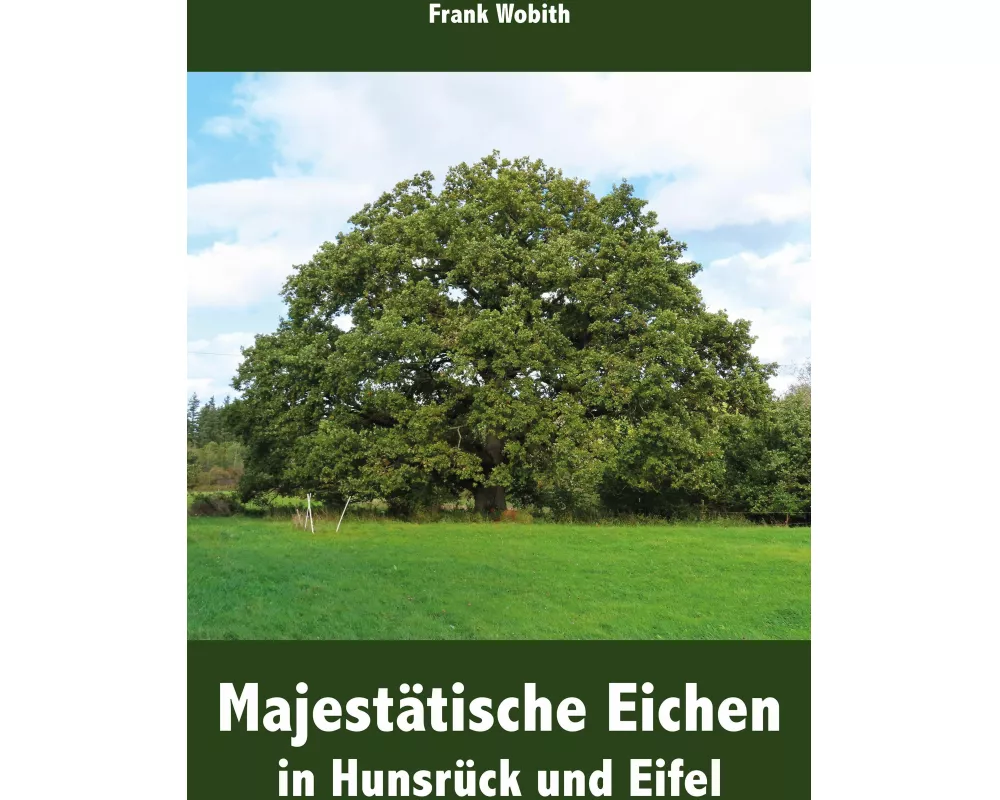 Majestätische Eichen in Hunsrück und Eifel