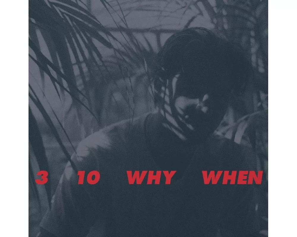 3,10,Why,When