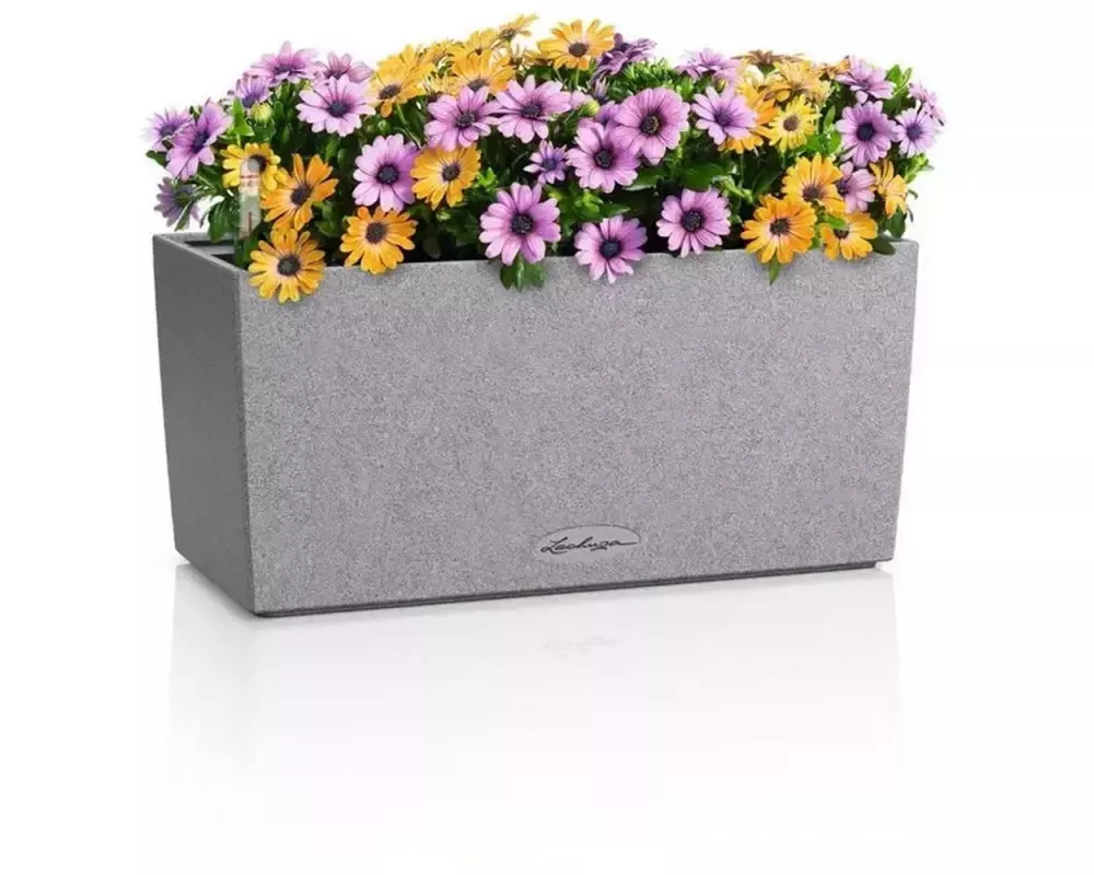 Lechuza BALCONERA Stone 40 Steingrau