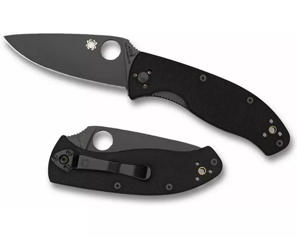 Spyderco Taschenmesser Tenacious C122 GBBKP