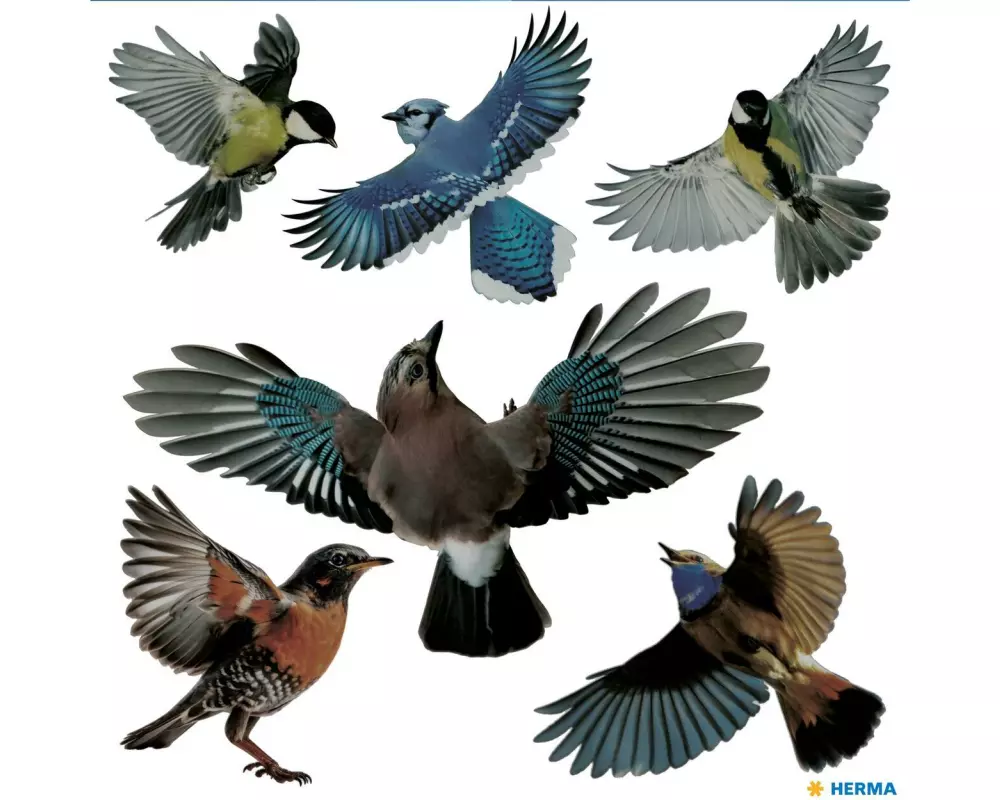 Herma Stickers Motivsticker Warnvögel 6 Stickers, wetterfest
