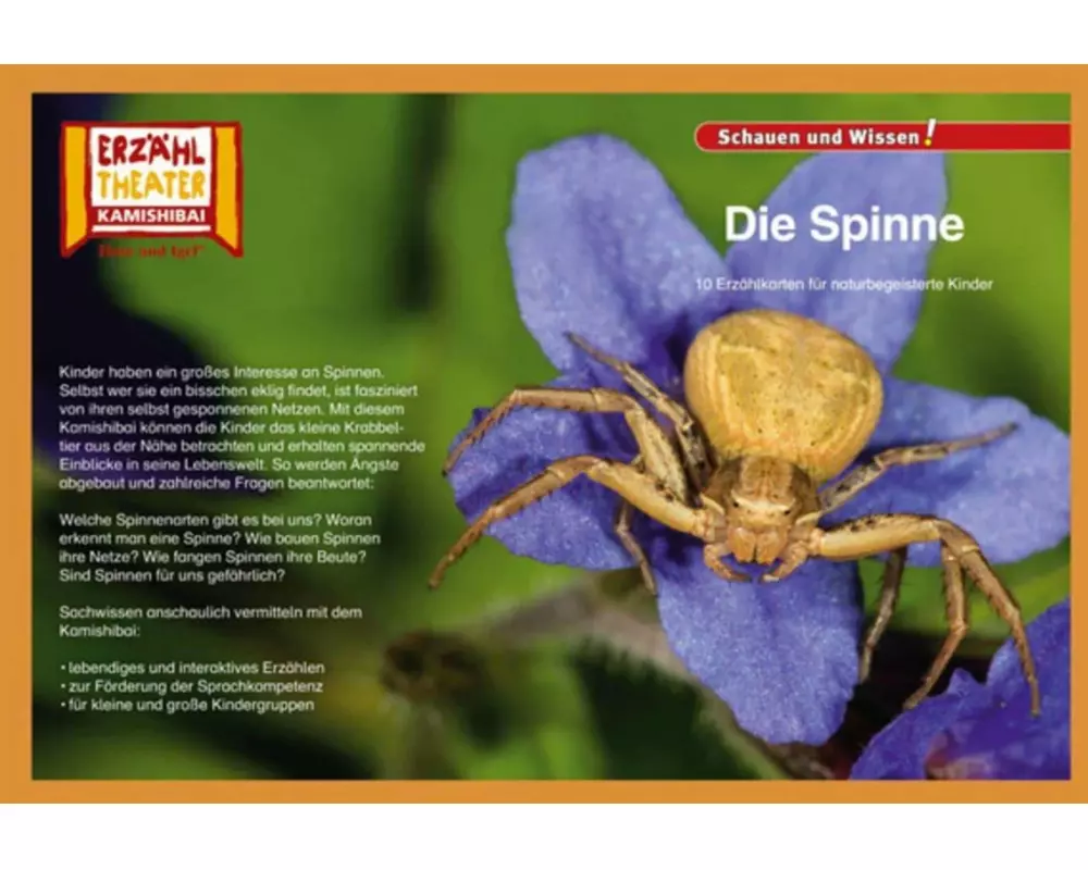 Kamishibai: Die Spinne