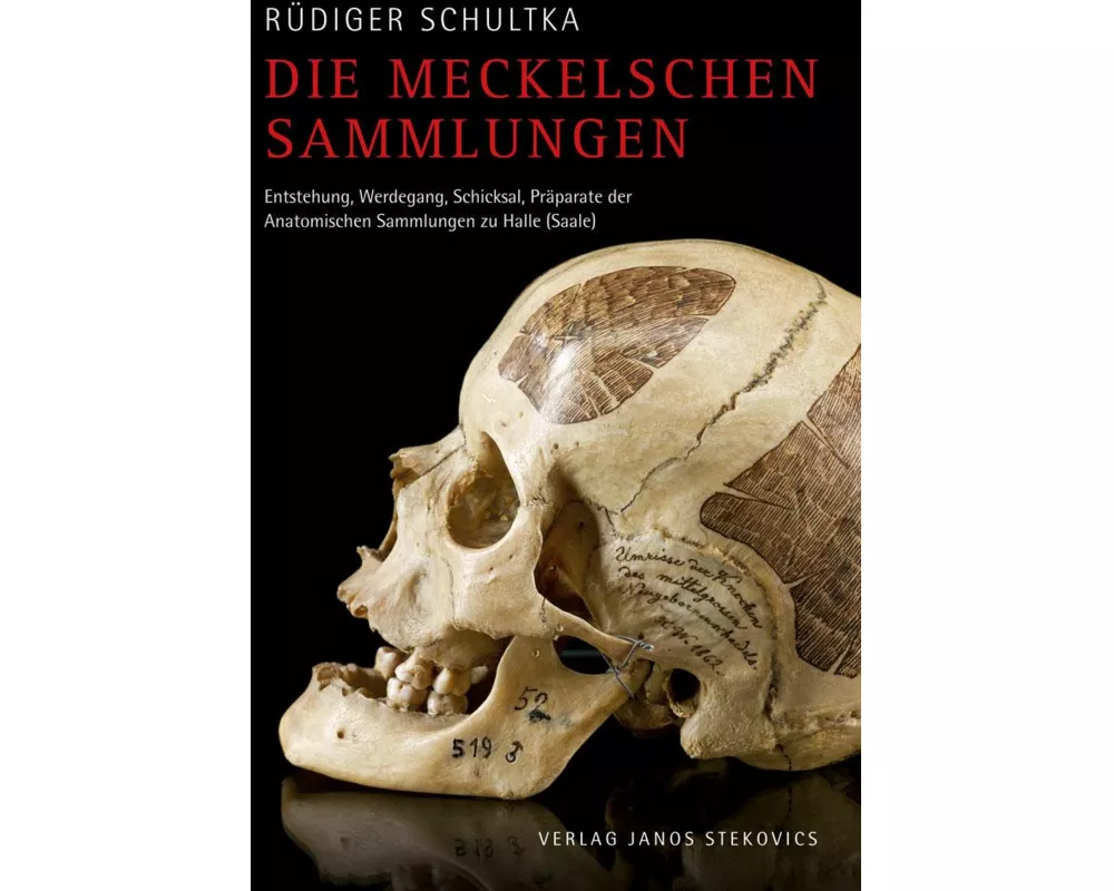 Die Meckelschen Sammlungen