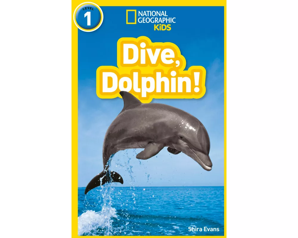 Dive, Dolphin!