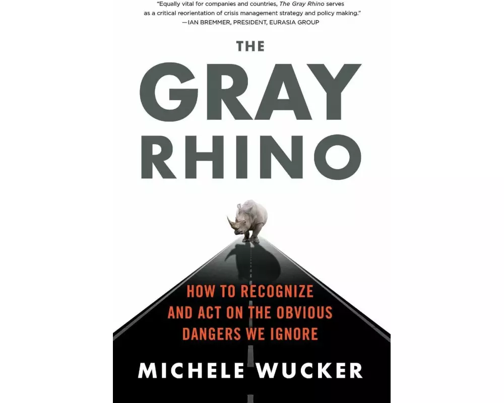 The Gray Rhino