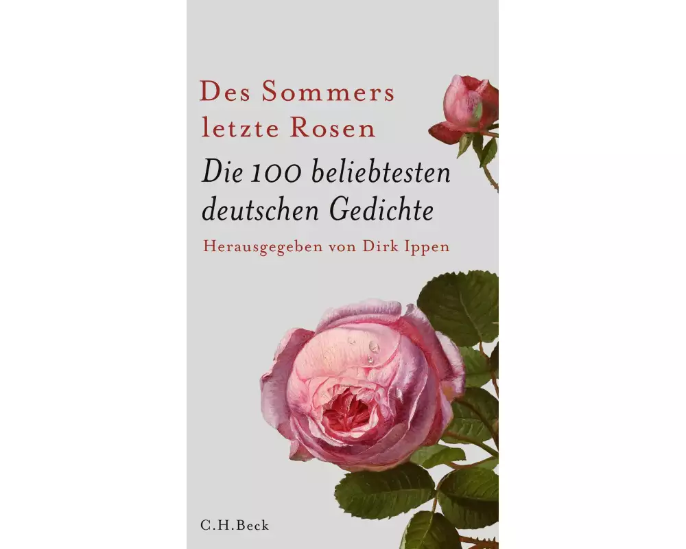 Des Sommers letzte Rosen
