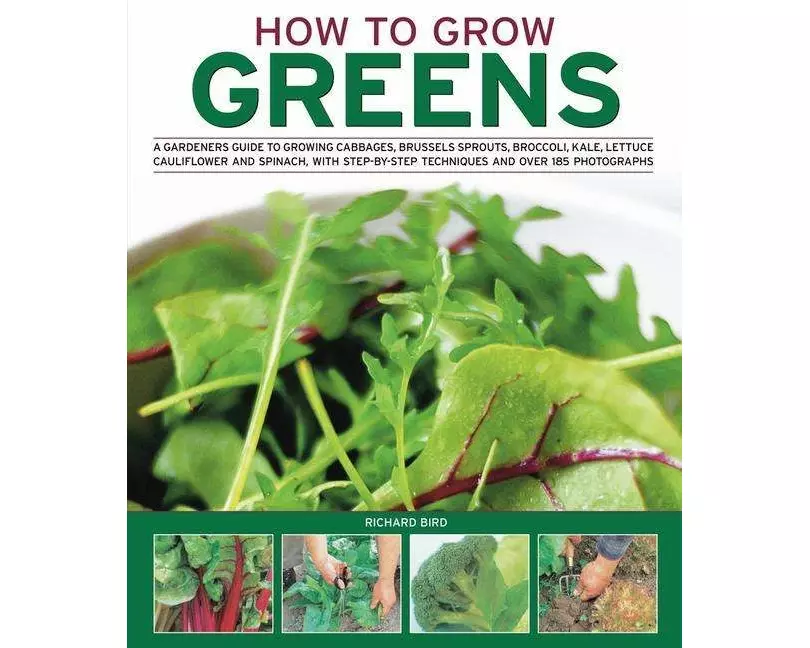 How to Grow Greens