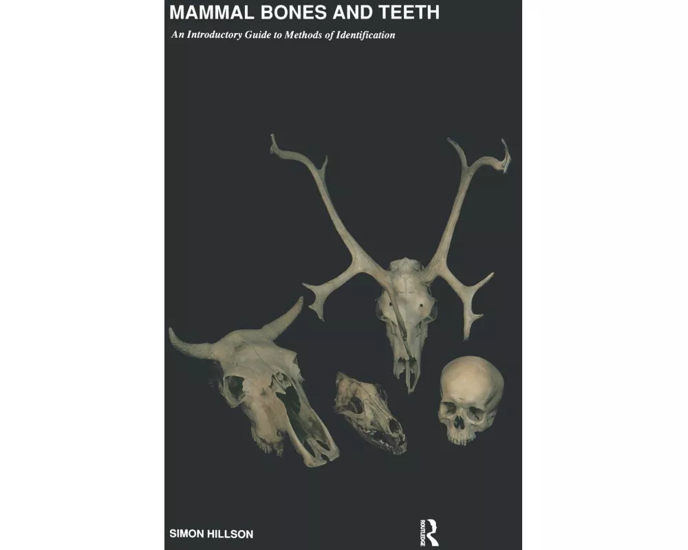 Mammal Bones and Teeth