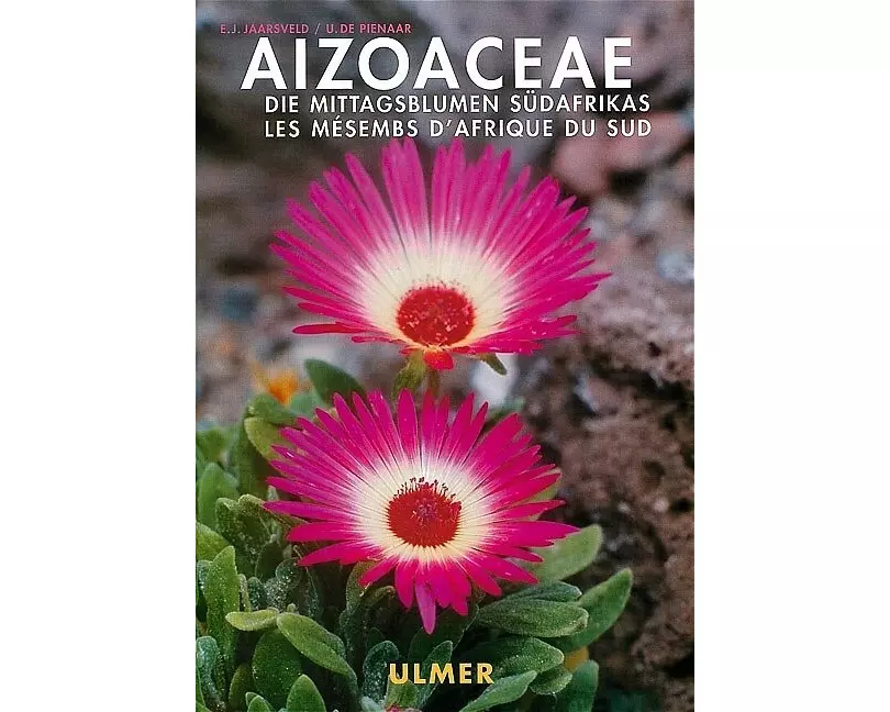 Aizoaceae