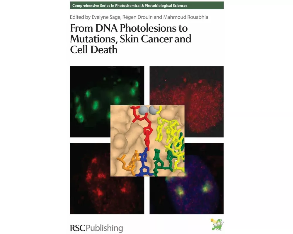 From DNA Photolesions to Mutations, Skin Cancer and Cell Death
