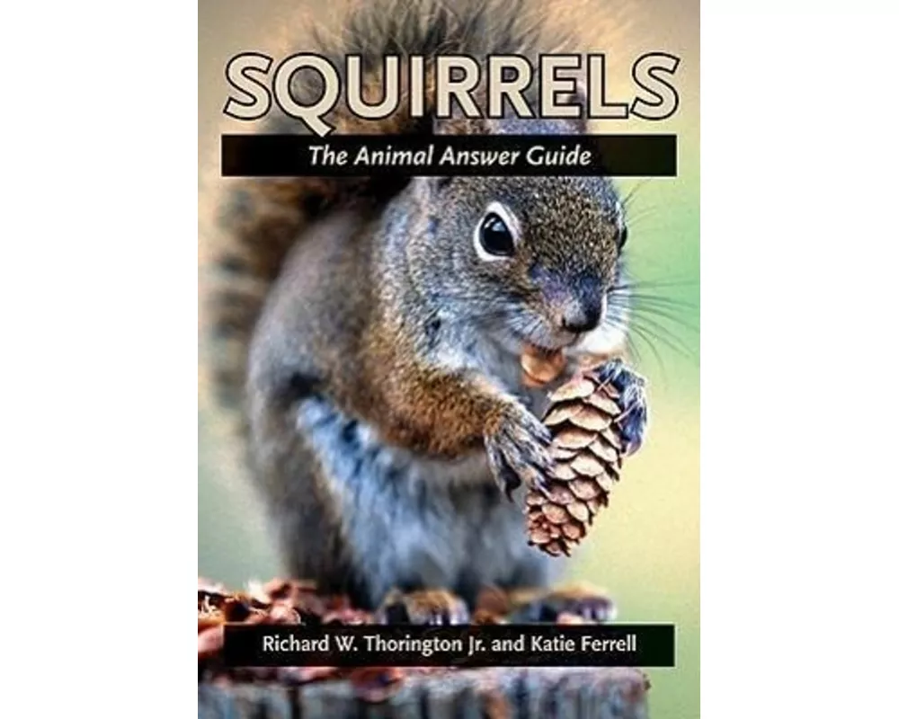 Squirrels