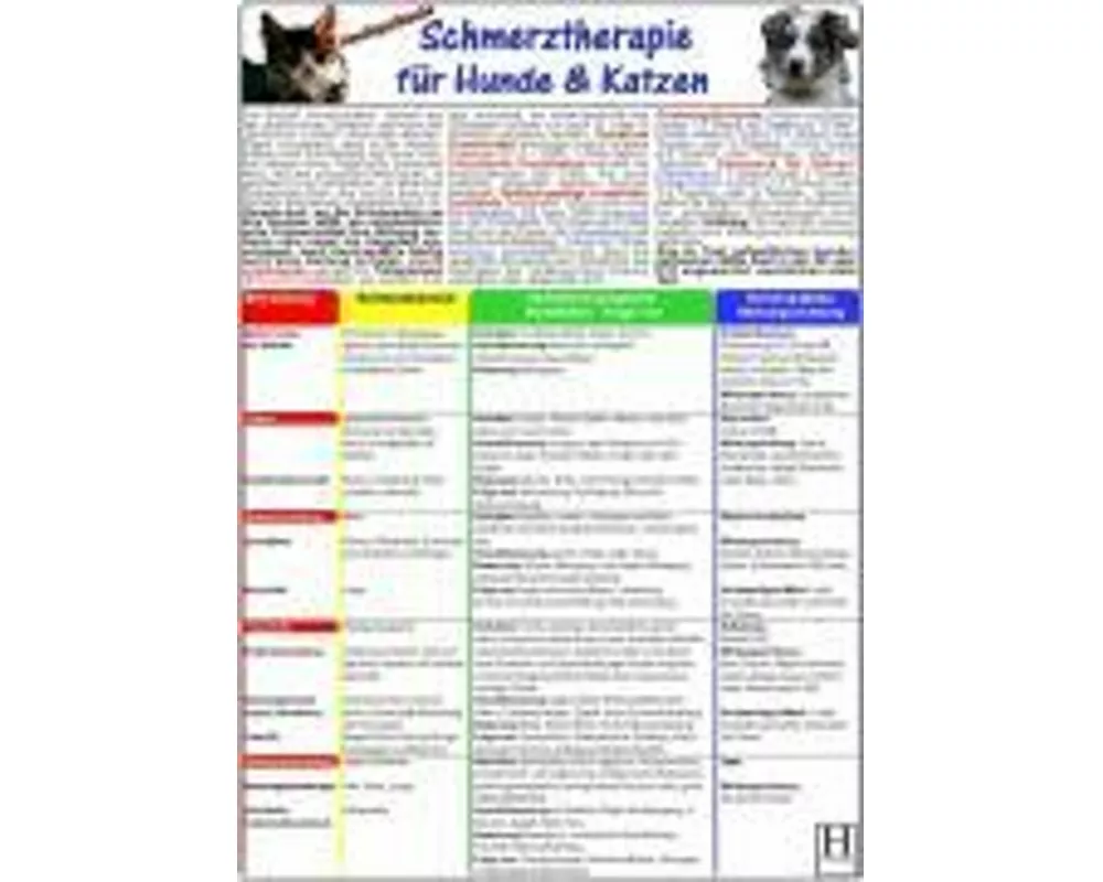 Homöopathische Schmerztherapie für Hunde & Katzen