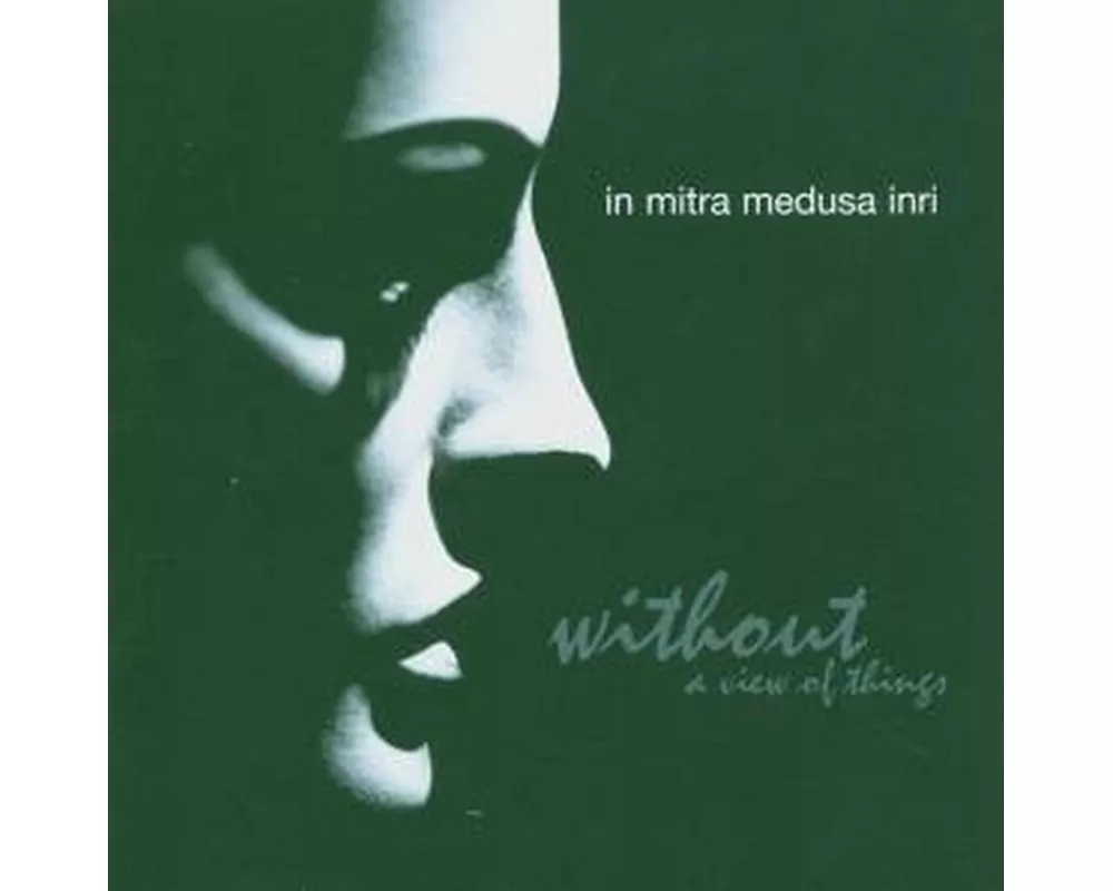 Without A View Of Things