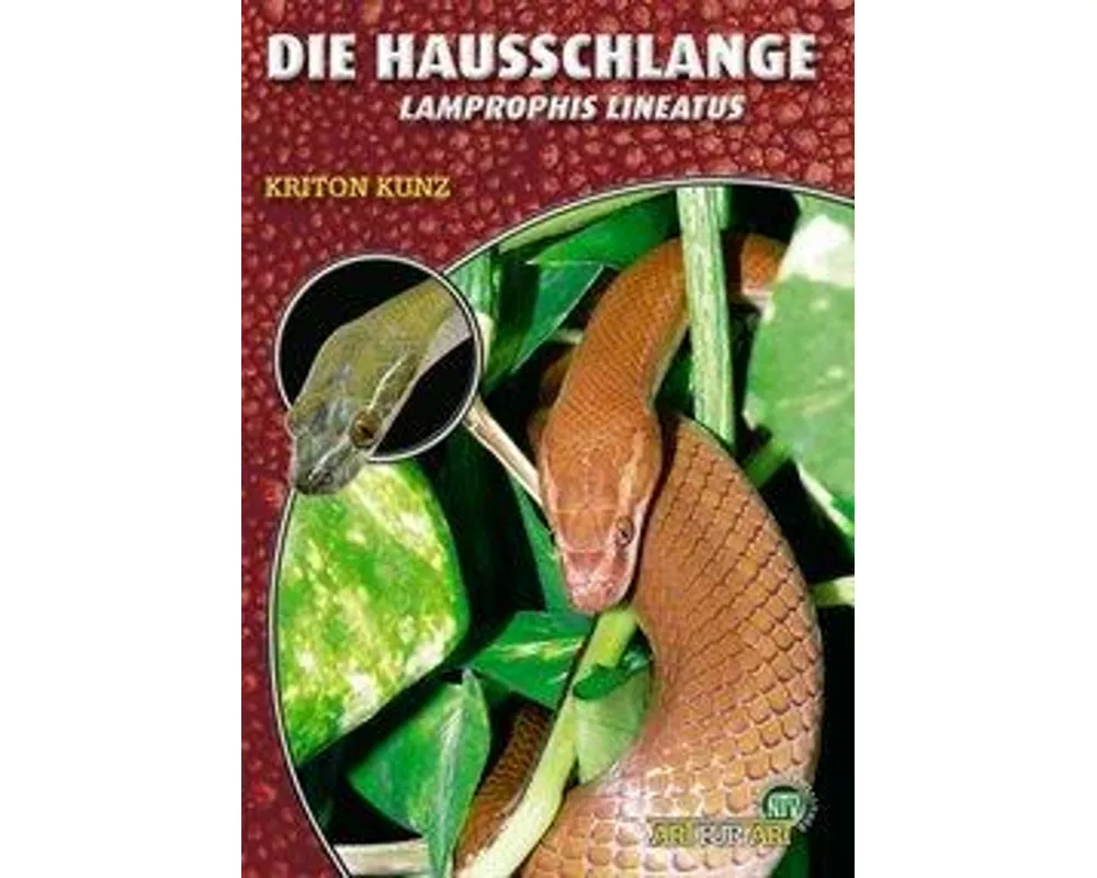 Die Hausschlange