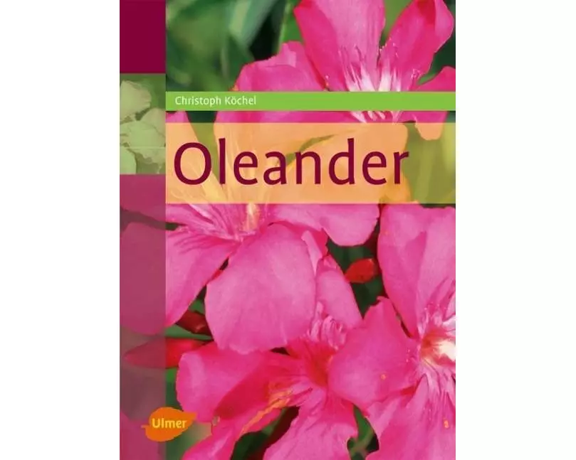 Oleander
