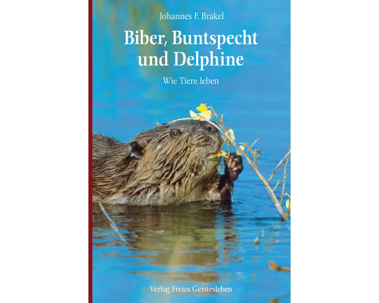 Biber, Buntspecht und Delphine