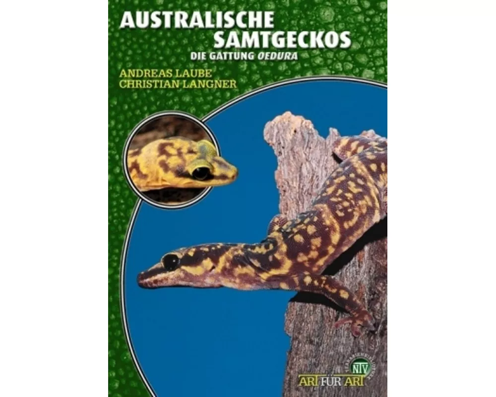 Australische Samtgeckos