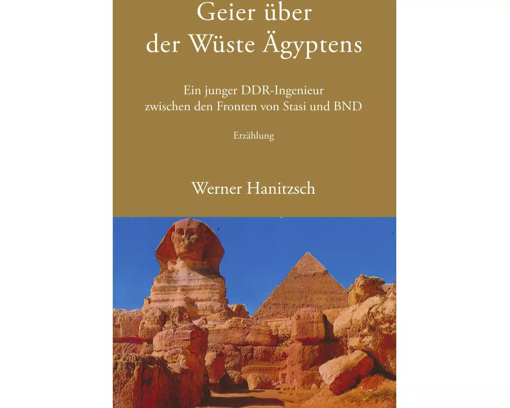 Geier über der Wüste Ägyptens