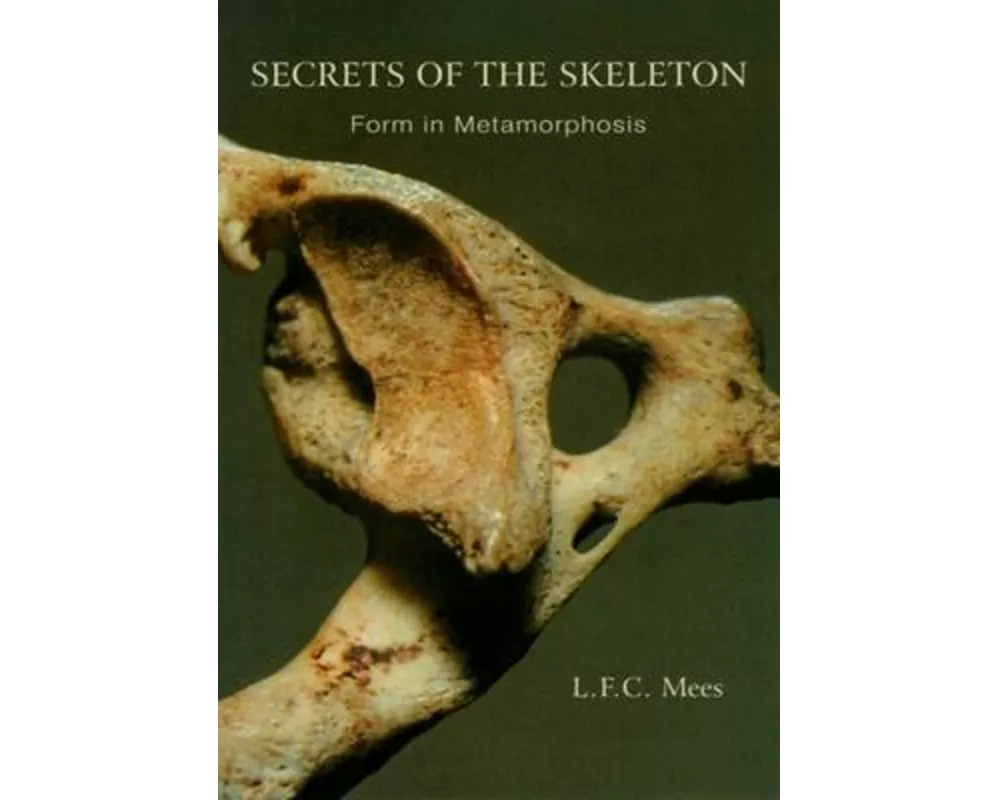 Secrets of the Skeleton