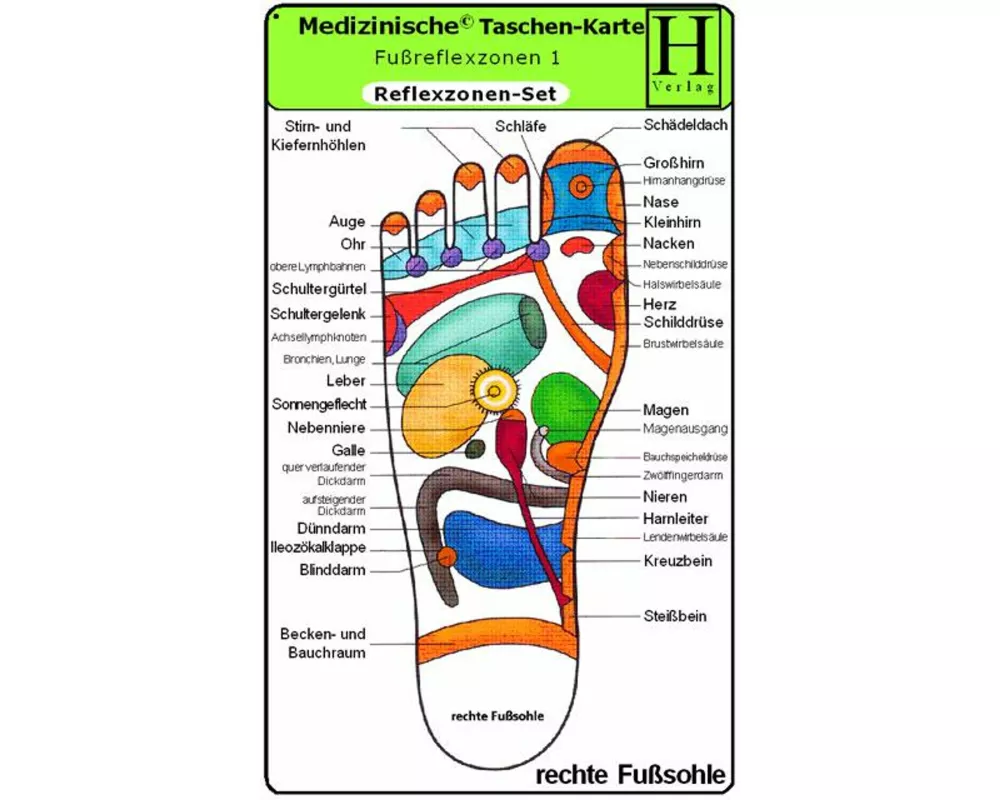 Reflexzonen Set. Medizinische Taschen-Karte