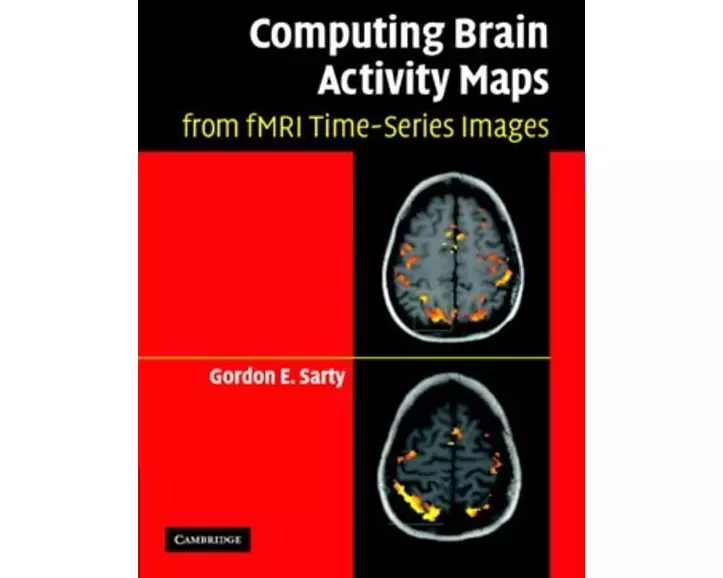 Computing Brain Activity Maps from fMRI Time-Series Images