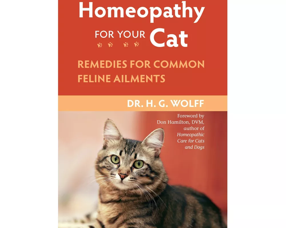Homeopathy for Your Cat