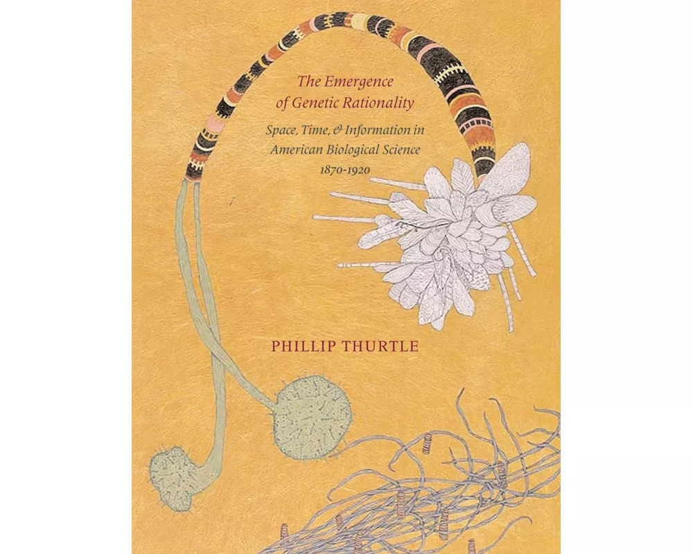 The Emergence of Genetic Rationality