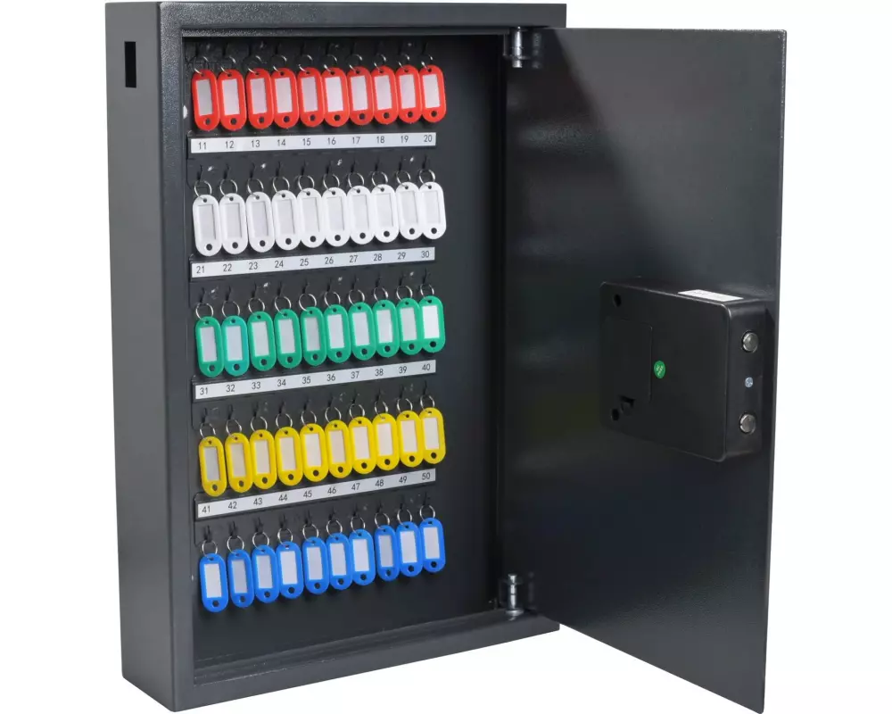 Pavo Schlüsselsafe Advanced 50 Haken, Grau
