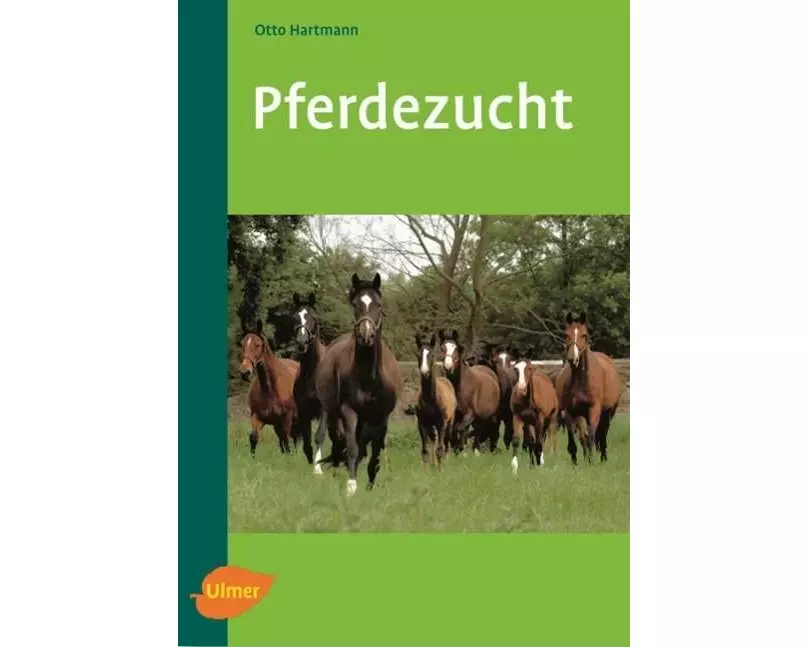 Pferdezucht