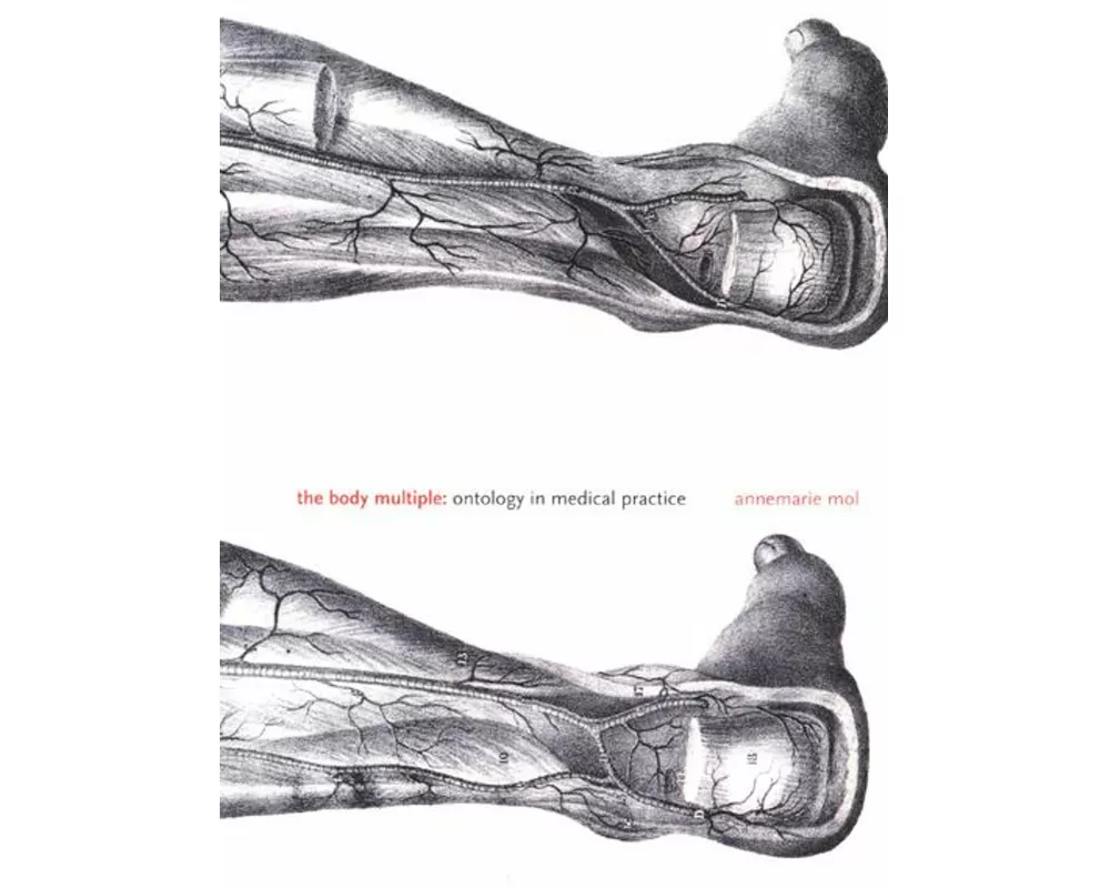 The Body Multiple