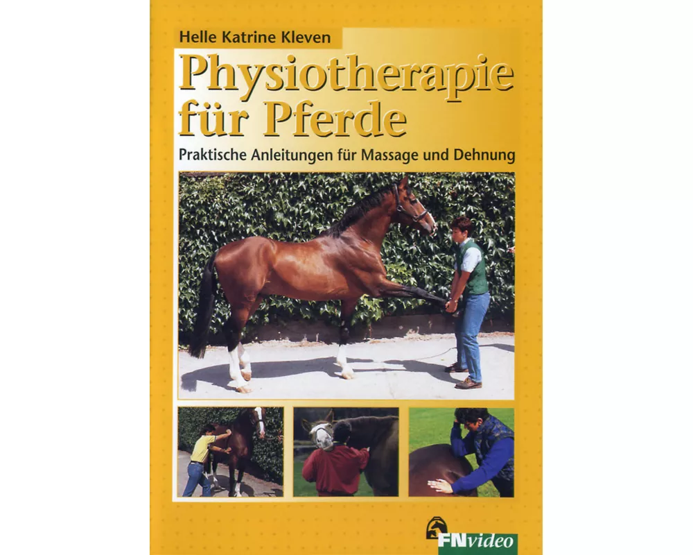 Physiotherapie für Pferde